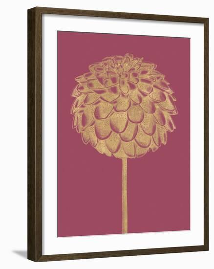 Floral Luxe - Shoot-Lucy Francis-Framed Art Print