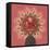 Floral Mandala II-Dina June-Framed Stretched Canvas