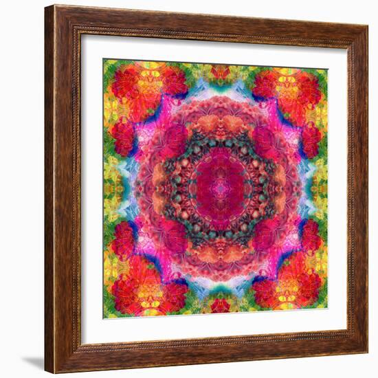 Floral Mandala Ornament-Alaya Gadeh-Framed Photographic Print