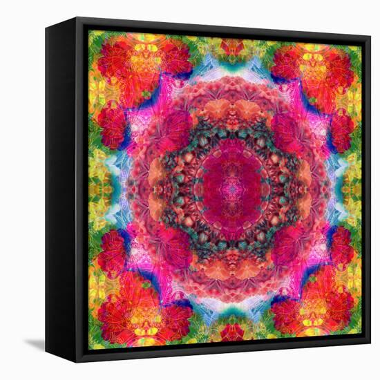 Floral Mandala Ornament-Alaya Gadeh-Framed Premier Image Canvas