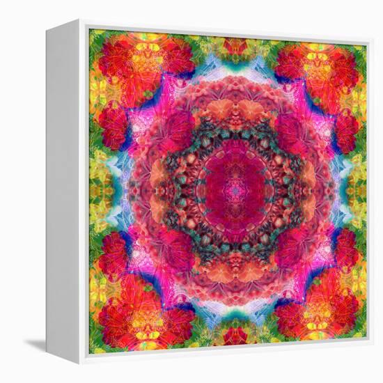 Floral Mandala Ornament-Alaya Gadeh-Framed Premier Image Canvas