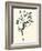 Floral Marker I-June Vess-Framed Art Print