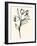 Floral Marker I-June Vess-Framed Art Print