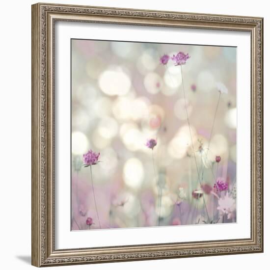 Floral Meadow I-Kate Carrigan-Framed Art Print