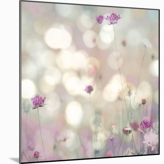 Floral Meadow I-Kate Carrigan-Mounted Art Print