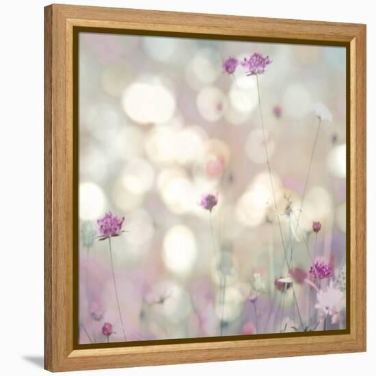 Floral Meadow I-Kate Carrigan-Framed Stretched Canvas