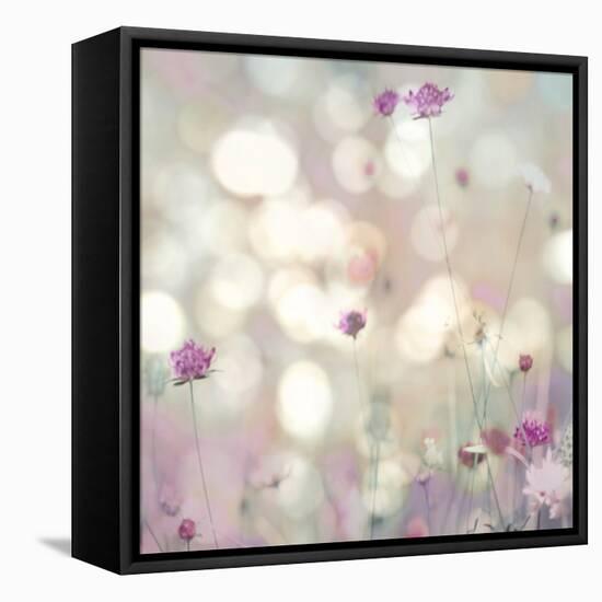 Floral Meadow I-Kate Carrigan-Framed Stretched Canvas