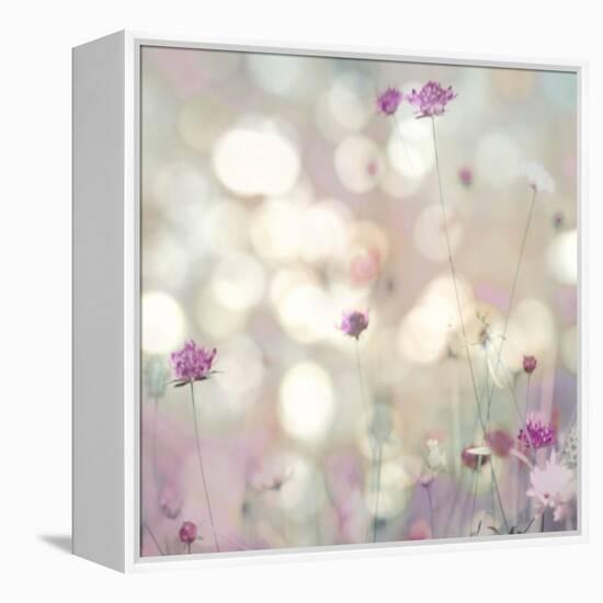 Floral Meadow I-Kate Carrigan-Framed Stretched Canvas