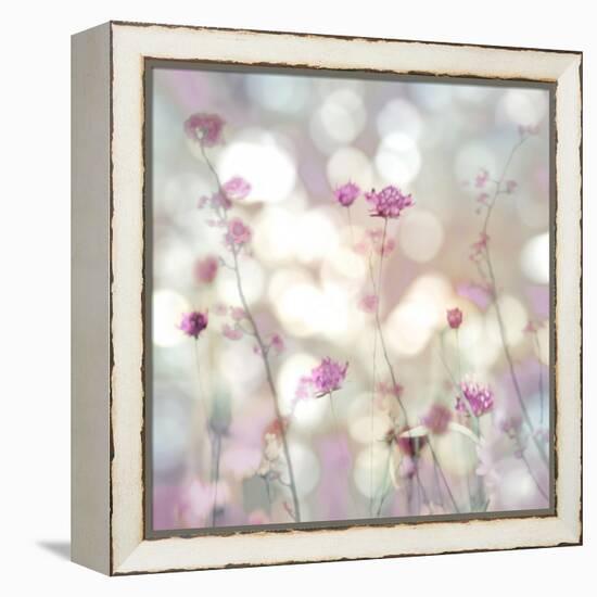 Floral Meadow II-Kate Carrigan-Framed Stretched Canvas