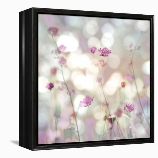 Floral Meadow II-Kate Carrigan-Framed Stretched Canvas