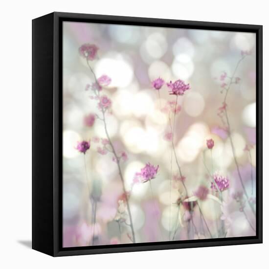 Floral Meadow II-Kate Carrigan-Framed Stretched Canvas