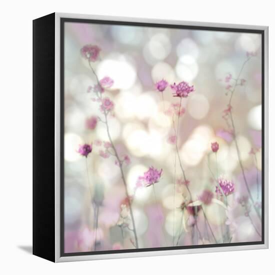 Floral Meadow II-Kate Carrigan-Framed Stretched Canvas