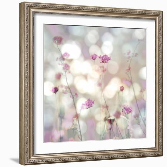 Floral Meadow II-Kate Carrigan-Framed Art Print