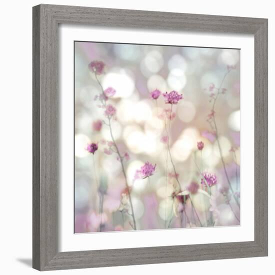 Floral Meadow II-Kate Carrigan-Framed Art Print