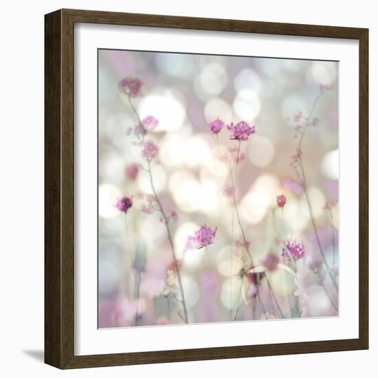 Floral Meadow II-Kate Carrigan-Framed Art Print