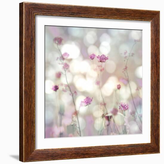 Floral Meadow II-Kate Carrigan-Framed Art Print