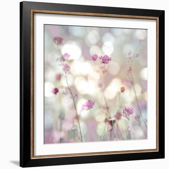 Floral Meadow II-Kate Carrigan-Framed Art Print