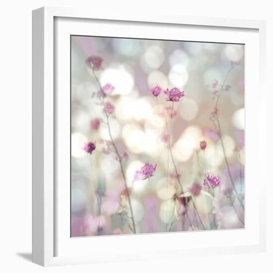 Floral Meadow II-Kate Carrigan-Framed Art Print