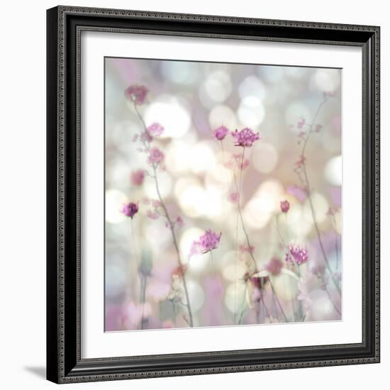 Floral Meadow II-Kate Carrigan-Framed Art Print