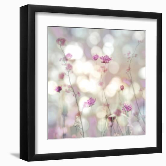 Floral Meadow II-Kate Carrigan-Framed Art Print