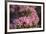 Floral Meander-Staffan Widstrand-Framed Giclee Print