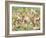 Floral Mix-Mark Chandon-Framed Giclee Print