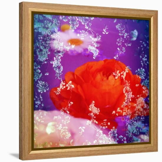 Floral Montage of Flowers-Alaya Gadeh-Framed Premier Image Canvas