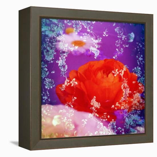 Floral Montage of Flowers-Alaya Gadeh-Framed Premier Image Canvas