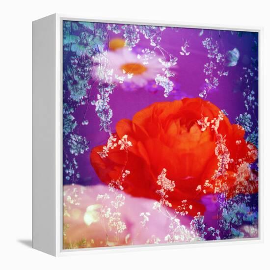 Floral Montage of Flowers-Alaya Gadeh-Framed Premier Image Canvas