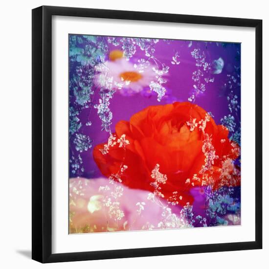 Floral Montage of Flowers-Alaya Gadeh-Framed Photographic Print