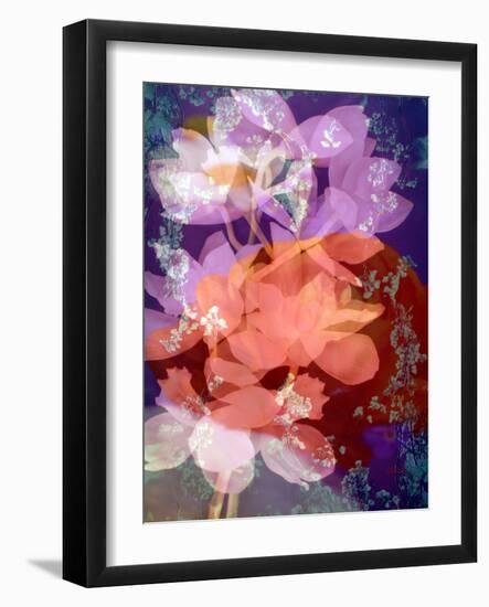 Floral Montage, Photographic Layer Work-Alaya Gadeh-Framed Photographic Print