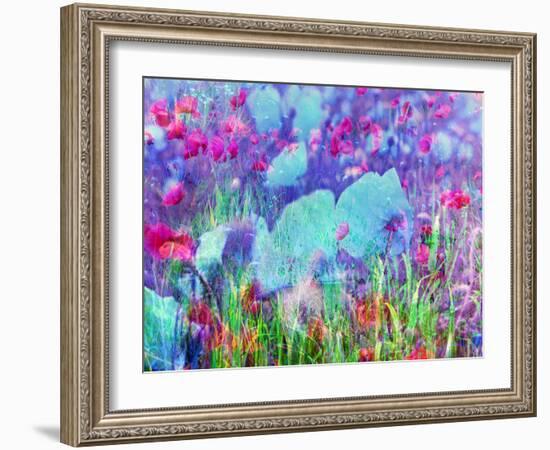 Floral Montage-Alaya Gadeh-Framed Photographic Print