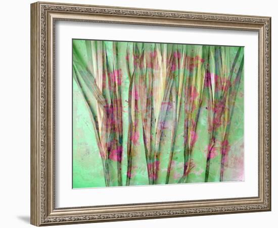 Floral Montage-Alaya Gadeh-Framed Photographic Print