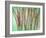 Floral Montage-Alaya Gadeh-Framed Photographic Print