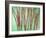 Floral Montage-Alaya Gadeh-Framed Photographic Print