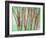 Floral Montage-Alaya Gadeh-Framed Photographic Print