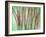 Floral Montage-Alaya Gadeh-Framed Photographic Print