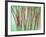 Floral Montage-Alaya Gadeh-Framed Photographic Print