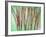 Floral Montage-Alaya Gadeh-Framed Photographic Print