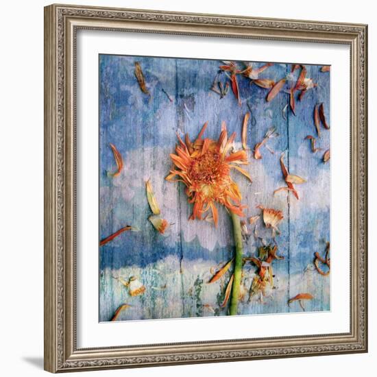 Floral Montage-Alaya Gadeh-Framed Photographic Print