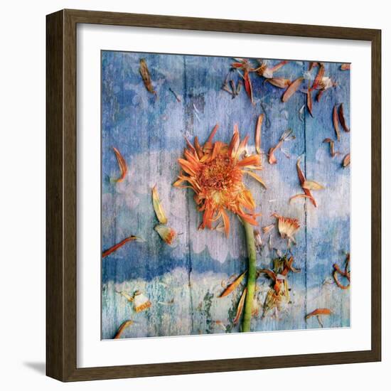 Floral Montage-Alaya Gadeh-Framed Photographic Print