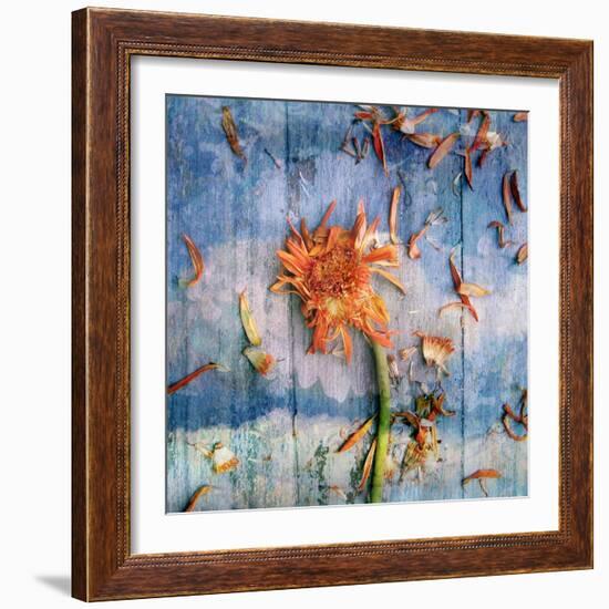 Floral Montage-Alaya Gadeh-Framed Photographic Print