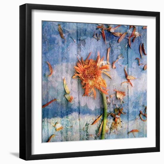 Floral Montage-Alaya Gadeh-Framed Photographic Print