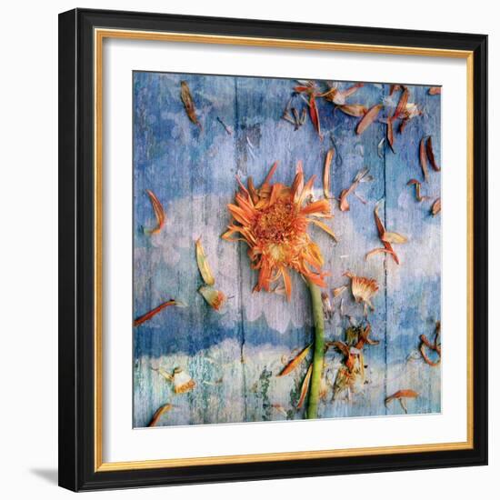 Floral Montage-Alaya Gadeh-Framed Photographic Print