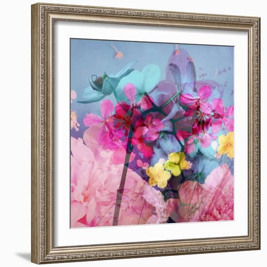 Floral Montage-Alaya Gadeh-Framed Photographic Print