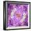 Floral Montage-Alaya Gadeh-Framed Photographic Print