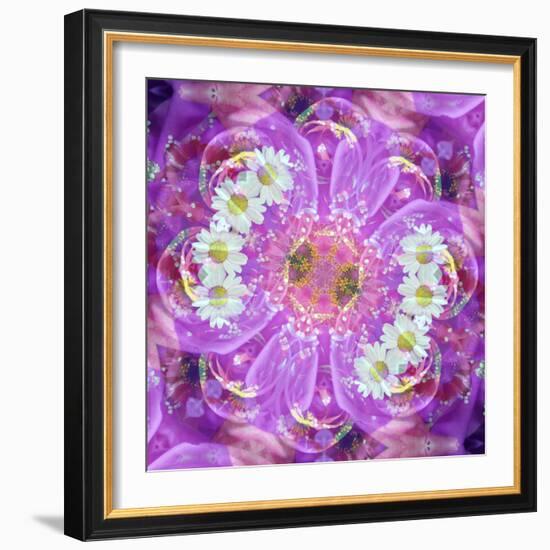 Floral Montage-Alaya Gadeh-Framed Photographic Print