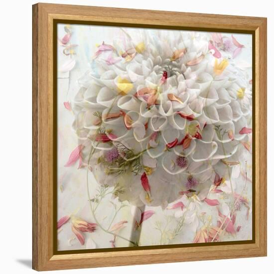 Floral Montage-Alaya Gadeh-Framed Premier Image Canvas