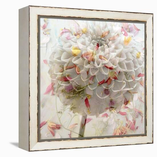 Floral Montage-Alaya Gadeh-Framed Premier Image Canvas