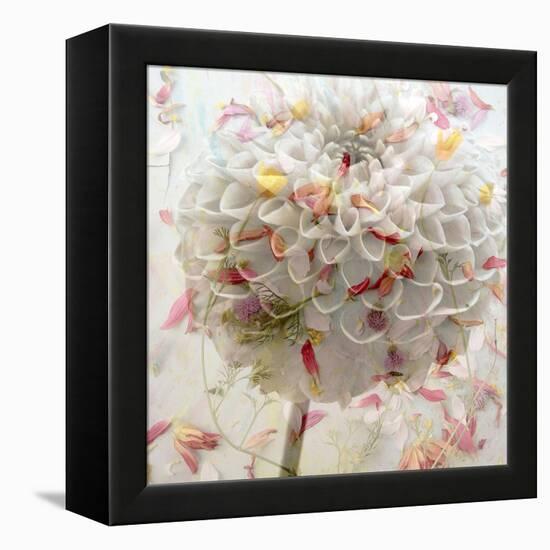 Floral Montage-Alaya Gadeh-Framed Premier Image Canvas